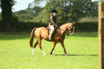 SBM_44626