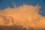 ACP_8283-1