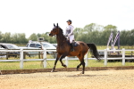SBM_004789
