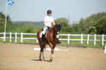 SBM_007984