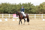 SBM_003729