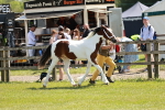 SBM_05494