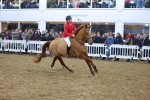 SBM_003770