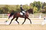 SBM_016989