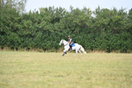 WJ6_1629