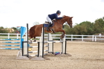 SBM_003562