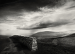 The Wall
