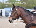 BPP_6684