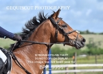 BPP_3351