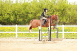 SBM_005339