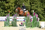 108-LYJADOR-Clementine_Crosthwaite_Eyre-SUNTrotUp+SJ portfolio