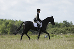 BVHT 140517 -110