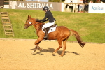 SBM_55877