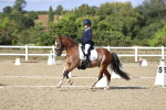 SBM_015988