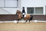 SBM_012995