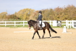 SBM_000982