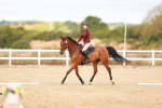 SBM_009631