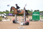 Cls 33 Horse of the Year Show 138cm Qualifier portfolio