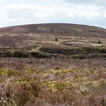 Enclosure and workings