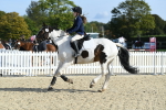 SBM_60694