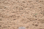 240621A-164846-05835