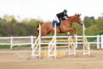 SBM_001902