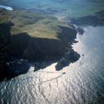 A00280D West Hurker at St Abbs Head
