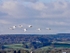 Cranes In Flight, Slimbridge, Glos