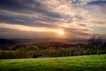 Evening Sunlight