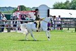 SBM_13955