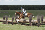 BVHT 140517  IXC -282