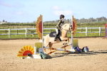 SBM_000196