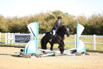 SBM_000181