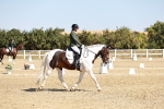 SBM_017449