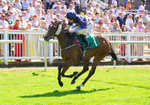 240726-Race 3-Lady Dublin-01254