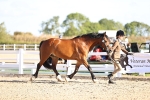 SBM_08415