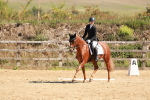 SBM_010675