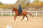 SBM_001831