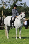 SIAL6460
