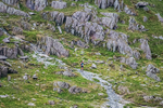  Duddon Long-465