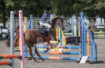 North Showjumping_2016-22