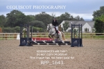 BPP_1643