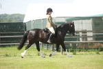 SBM_09158