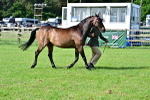 SBM_00991