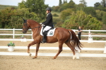 SBM_003375