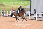 BPP_6647