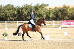 SBM_016952