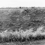 G sharp minor Prelude, Sand Hill Farm, Pennsylvania 2010