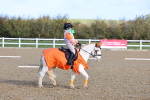 SBM_000437