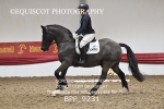 BPP_9231